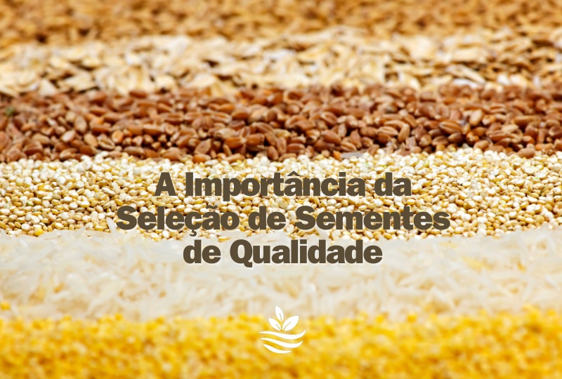 A Importância da Seleção de Sementes de Qualidade