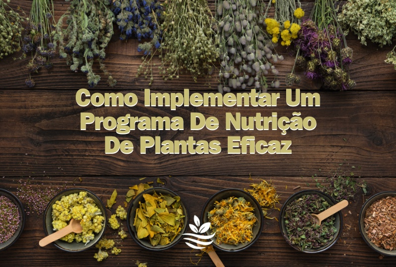 Como Implementar um Programa de Nutrição de Plantas Eficaz