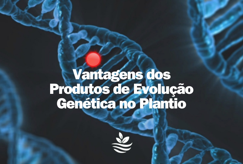 Vantagens dos Produtos de Evolução Genética no Plantio