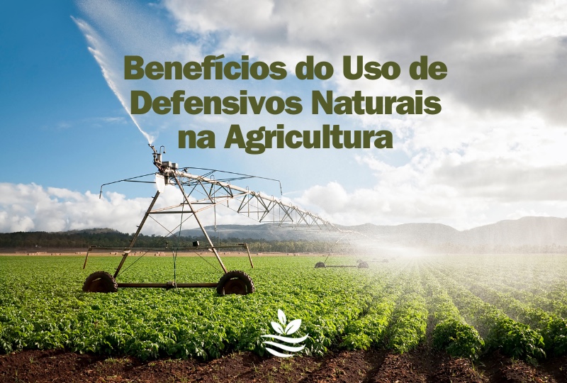 Benefícios do Uso de Defensivos Naturais na Agricultura
