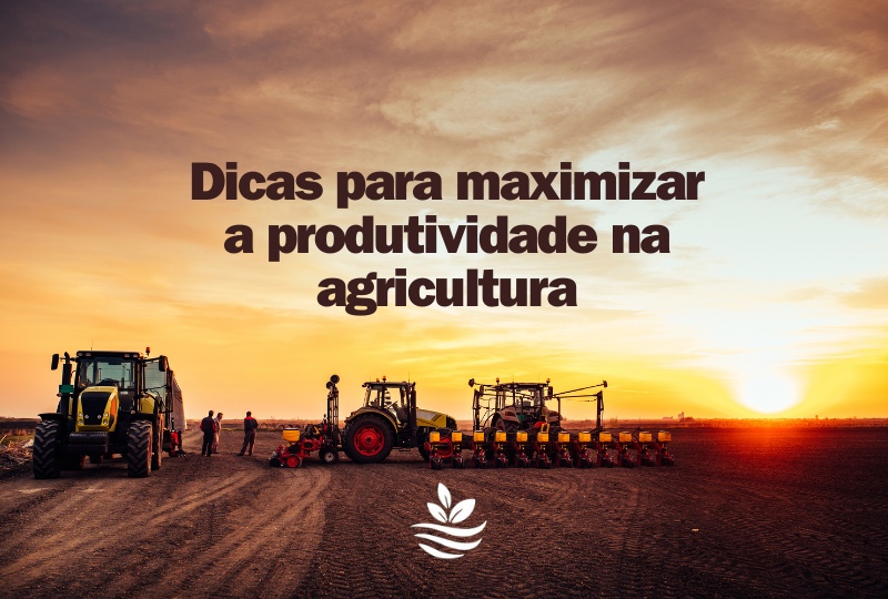 Dicas para Maximizar a Produtividade na Agricultura