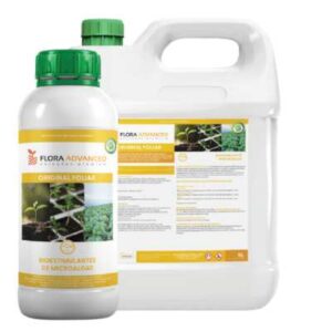 ORIGINAL FOLIAR